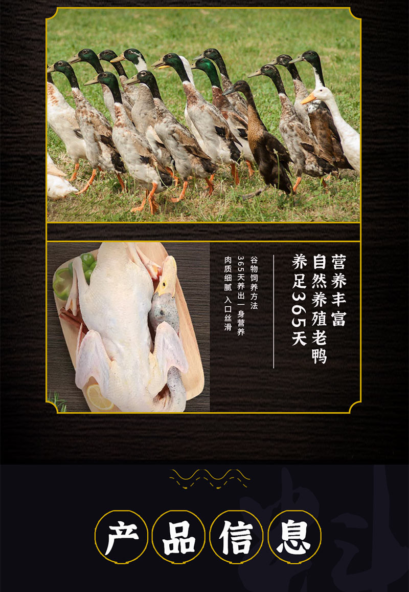 汪集老鸭汤